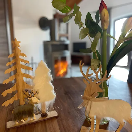 Ferien-schindeldorf Holiday home *