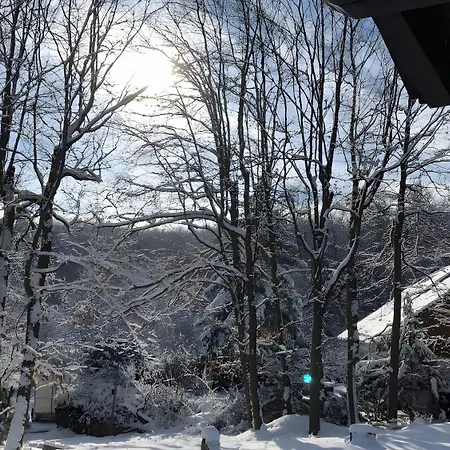 Ferien-schindeldorf * Stromberg (Hunsrueck)